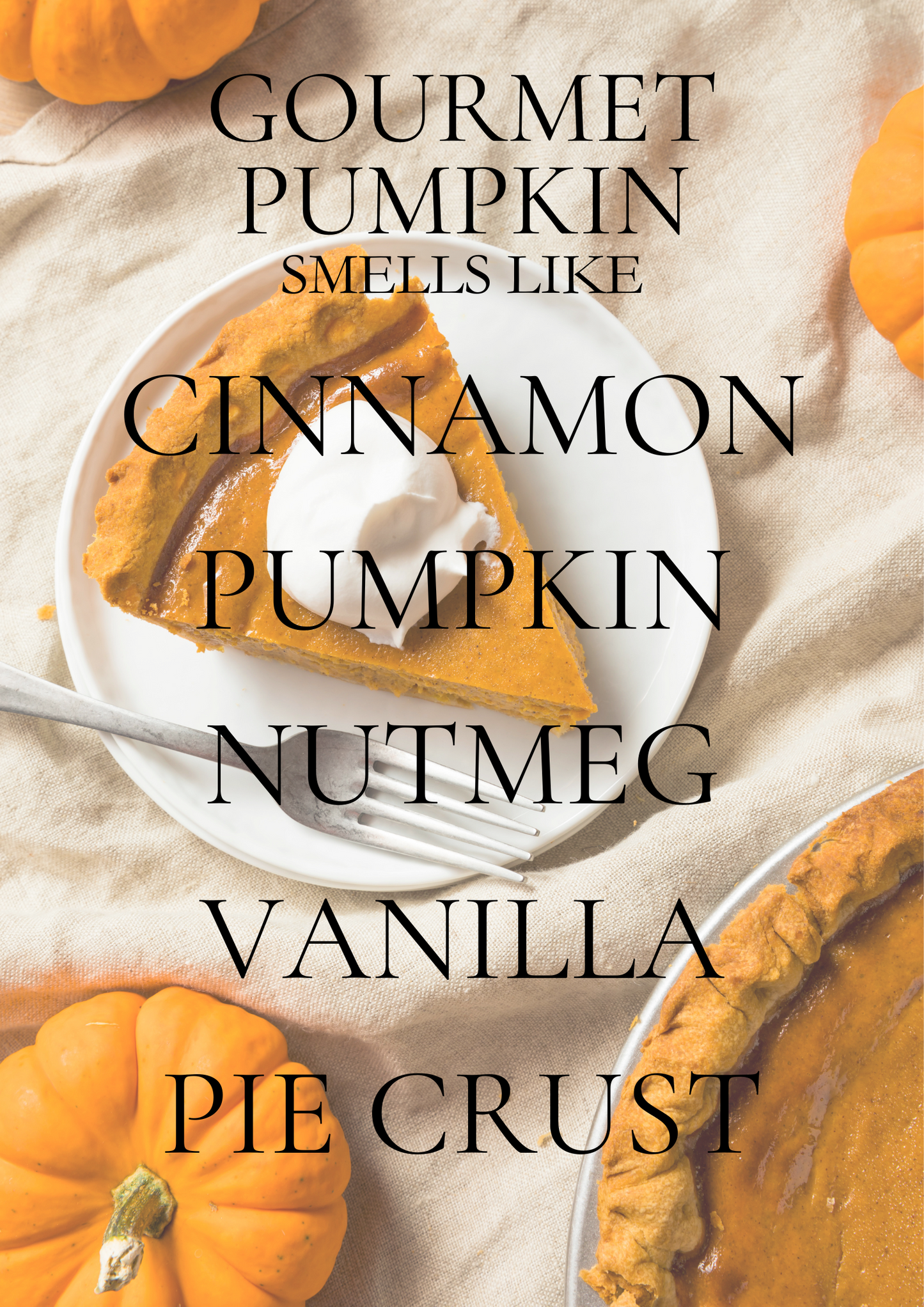 Gourmet Pumpkin Pie 9 oz Candle