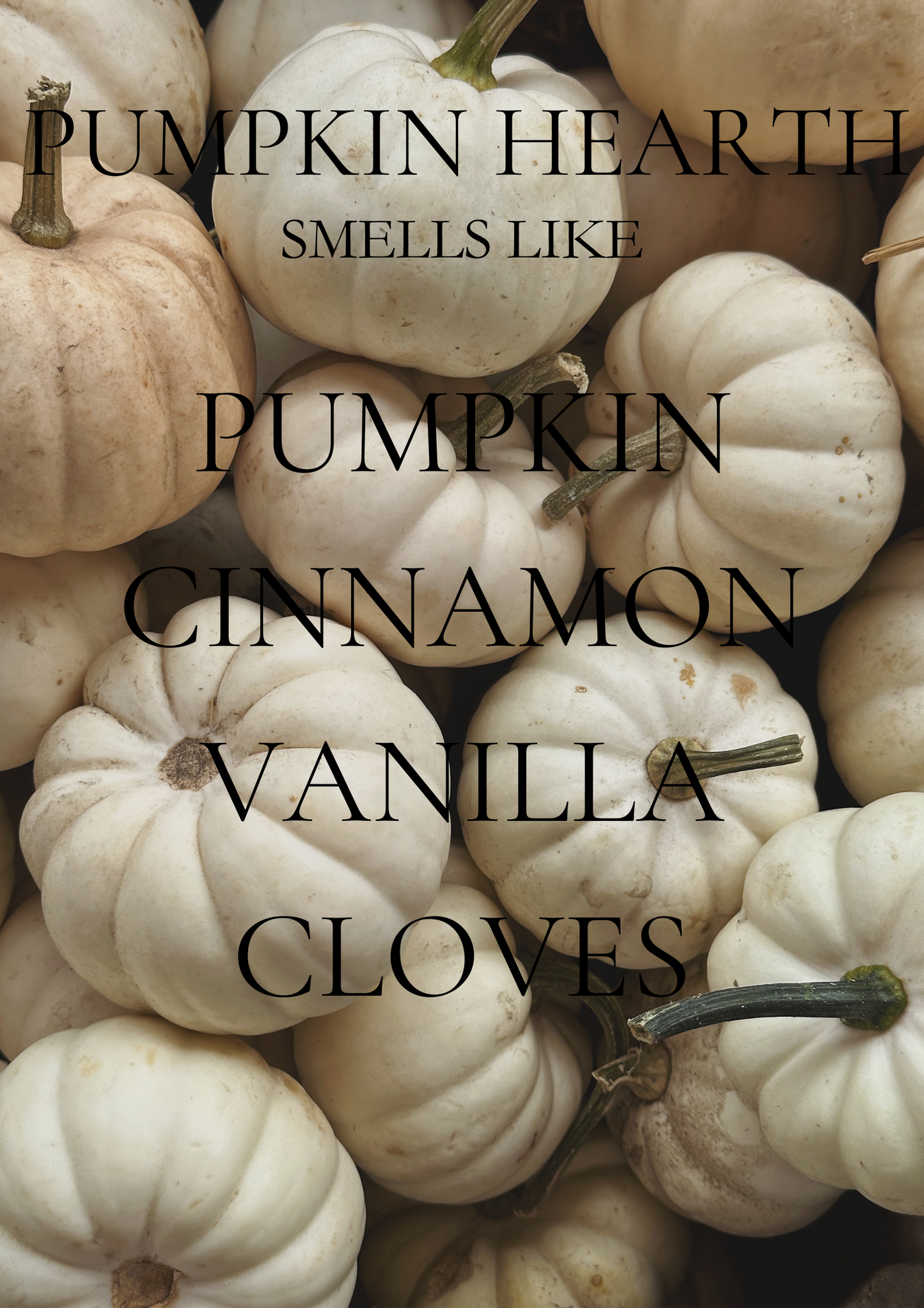 Toasted Pumpkin Spice 9 oz Candle